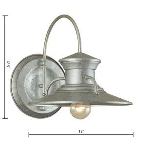 Budapest 12.5'' High 1-Light Outdoor Sconce - Galvanized 2