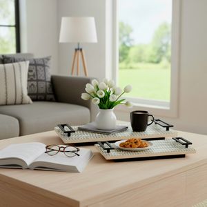 COREYGROVE SET OF 2 BLACK TRAY 3 (IN) 11