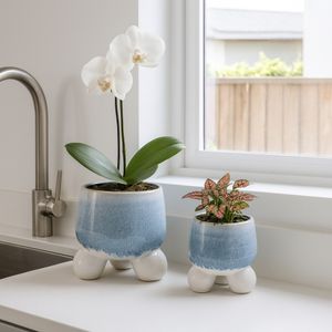 GALESHAW SET OF 2 BLUE PLANTER 11 (IN) 2