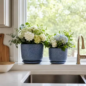 FIONAOAK SET OF 2 BLUE PLANTER 10 (IN) 10