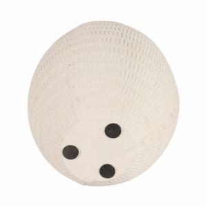 HAZENVALE WHITE VASE 17 (IN) 8