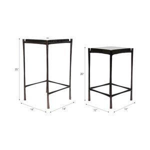 DRAKEROSE SET OF 2 BLACK TABLE 25 (IN) 9