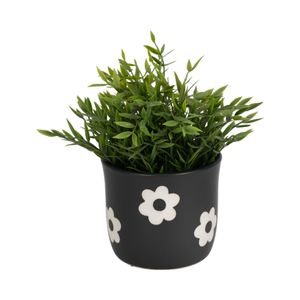 BELDENTON BLACK PLANTER 6 (IN) 3