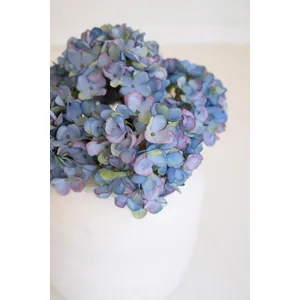 Botanica #2907 4