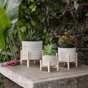 MIABROOK IVORY PLANTER 6 (IN) 12