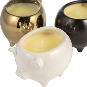 ARNETTCLIFF SET OF 3 VANILLA SANDALWOOD CANDLE 4 (IN) 6