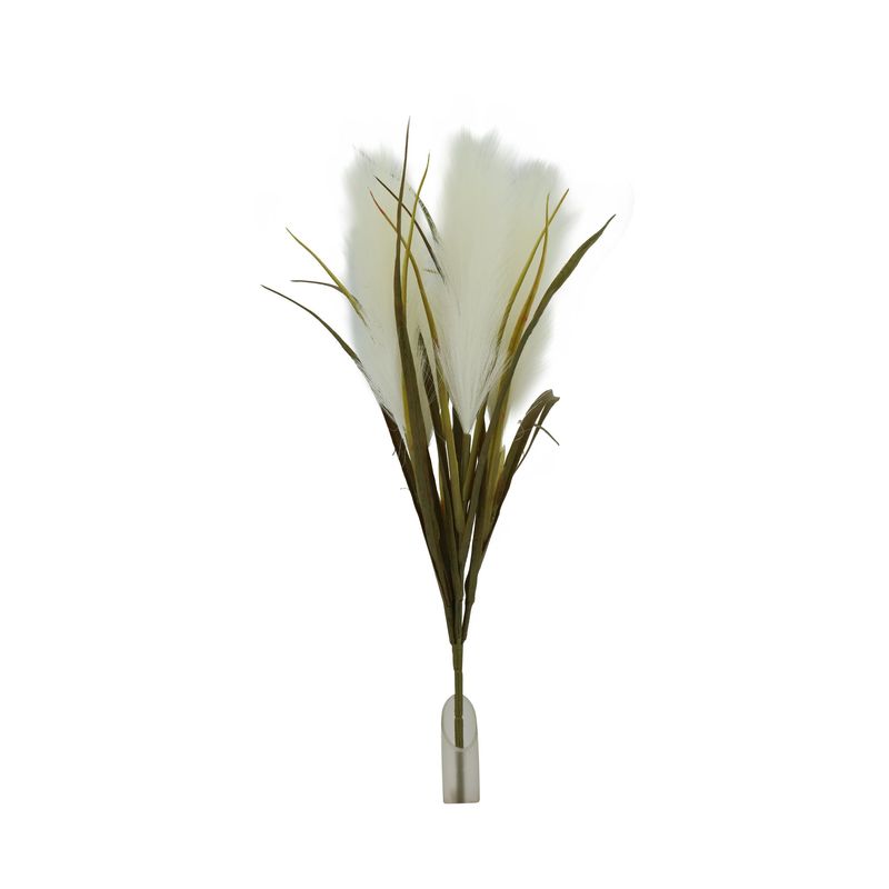 Feather Grass Bush, Cream