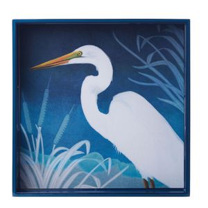 Night Egret