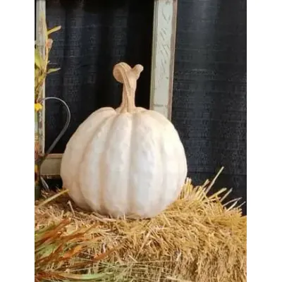 Resin Casper Pumpkin 12inx15in