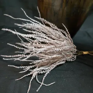 Bleached Amaranthus 1