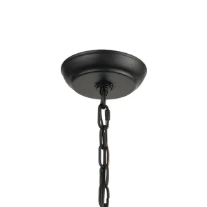 Bridgette 14'' Wide 4-Light Pendant - Matte Black 4
