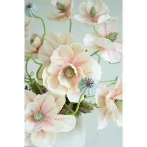 Botanica #2798 3