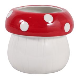 BLAINEROSE WHITE PLANTER 5 (IN) 4