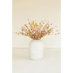 botanica #9012 2