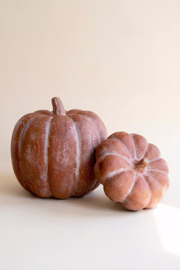 Set of 2 Paper Mache Pumpkins