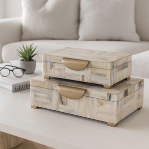 CLAXTONWORTH SET OF 2 TAN BOXES 5 (IN) 2