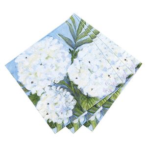 White Hydrangea