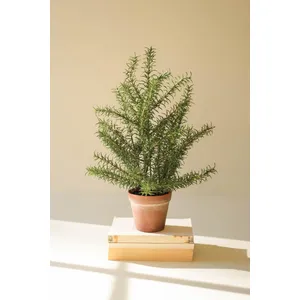 Artificial Rosemary Plant in Faux Terracotta Pot 1