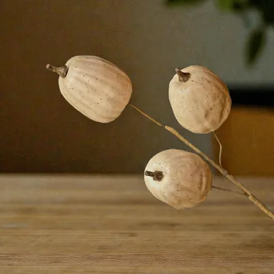 Tall White Pumpkin Stem