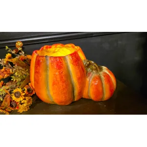 Pumpkin Planter12x9x7in 2