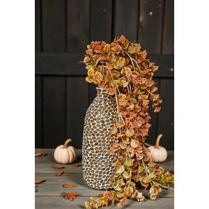 Cider Leaf 40in 1