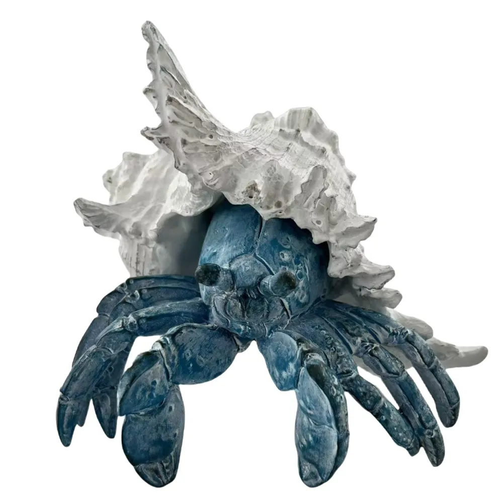 7" HERMIT CRAB  IN SHELL