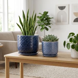 FIONAOAK SET OF 2 PLANTER 7 (IN) 11