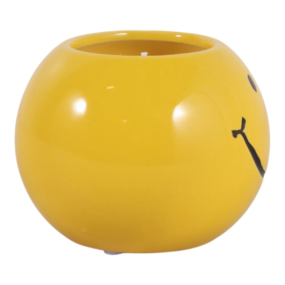 DIXONSTONE COCONUT GOJI SMILEY FACE CANDLE 3 (IN)