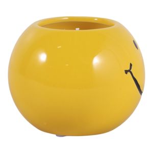 DIXONSTONE COCONUT GOJI SMILEY FACE CANDLE 3 (IN) 4