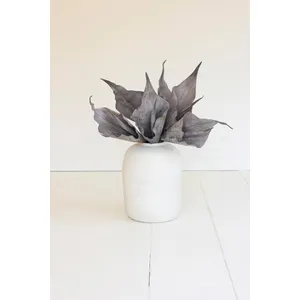 Botanica #2762 1