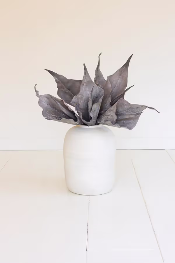 Botanica #2762
