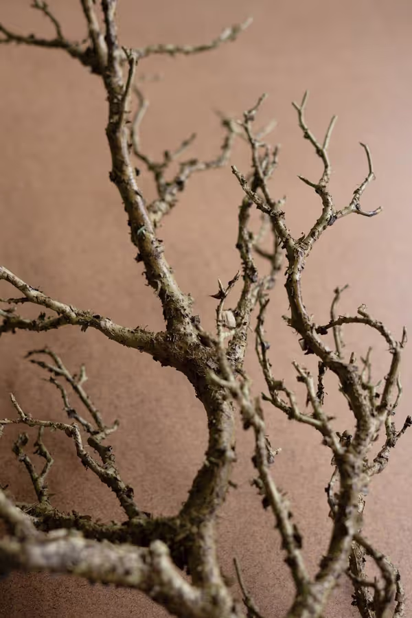Artificial Dead Wood Branch