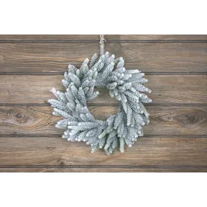 Frosted Spruce 12in Wreath 1