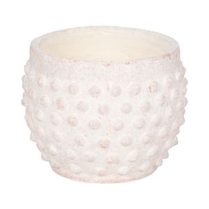 BLAIRPARK WHITE PLANTER 5 (IN) 1