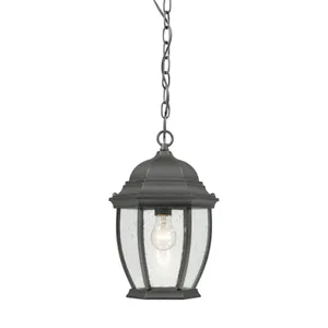 Covington 9.5'' Wide 1-Light Outdoor Pendant - Black 1