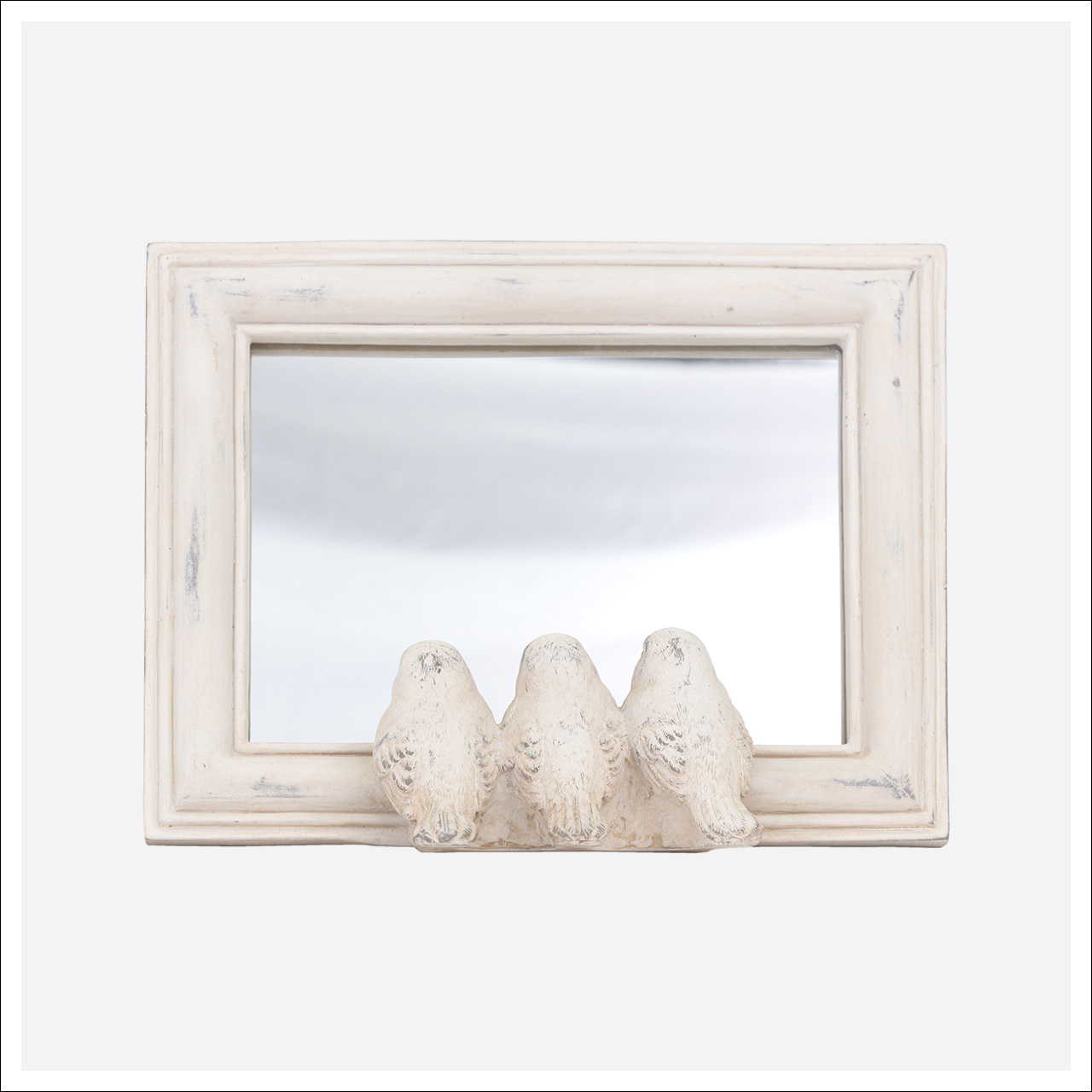 Bird Mirror -SB