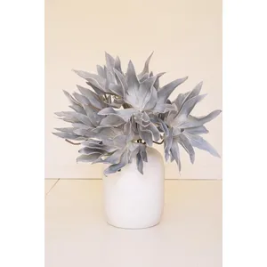 Botanica #2547 2