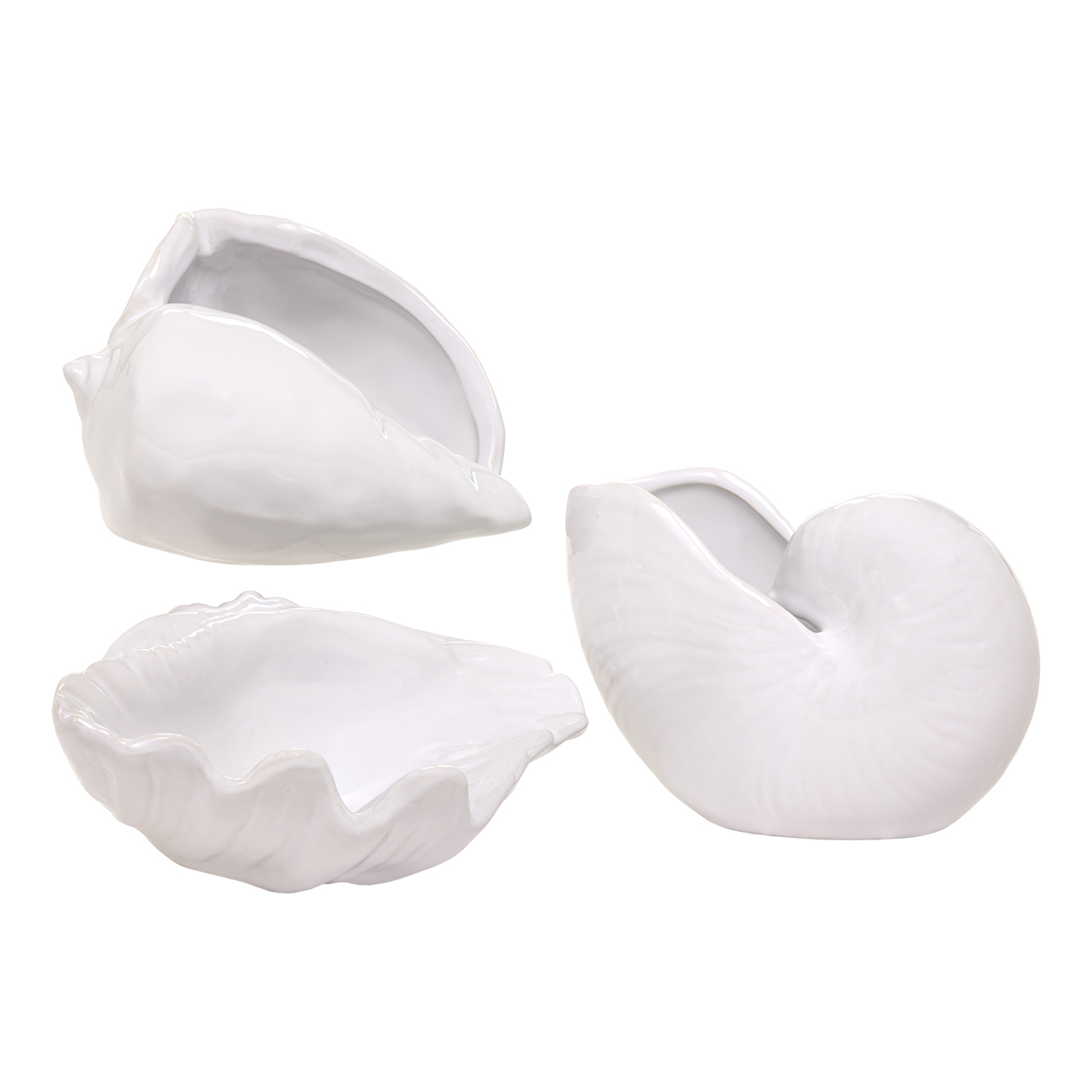 Missouri Shells -Ea 7