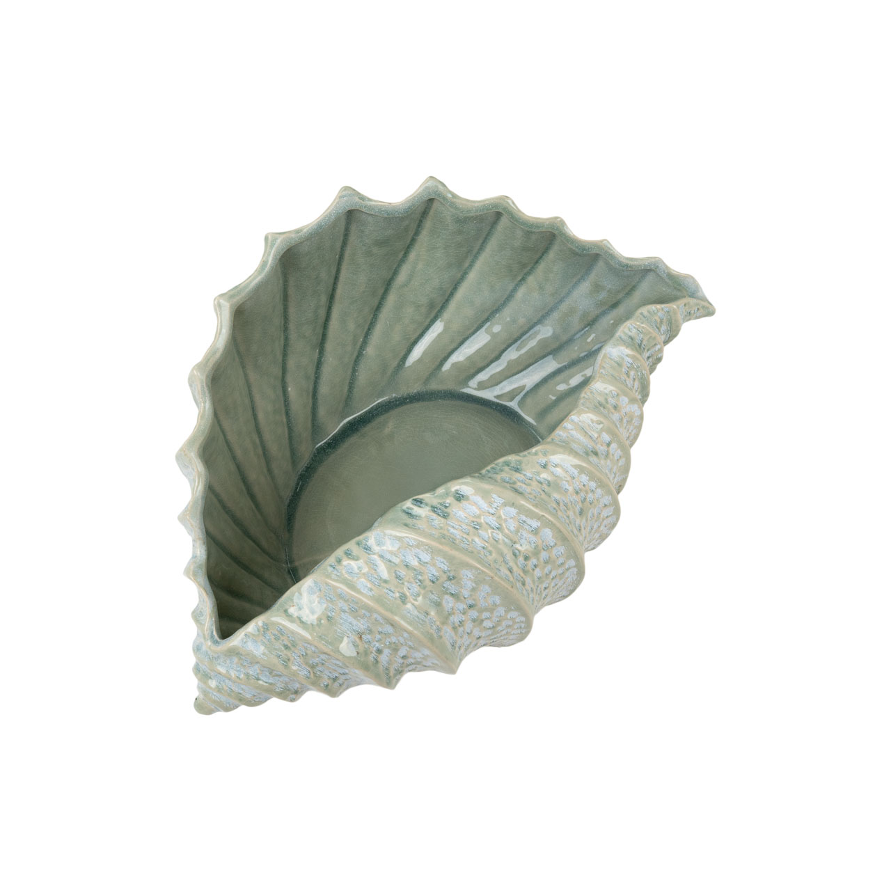 Cintronade Bowl 5