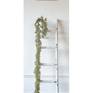 Wild Lavender Vine 68in 1