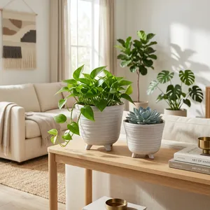 REXDALE SET OF 2 IVORY PLANTER 6 (IN) 11