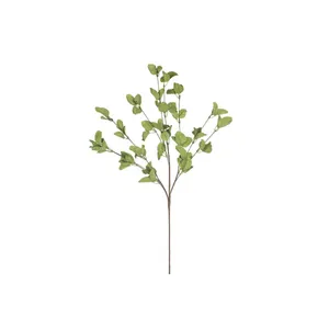 botanica #9035 5