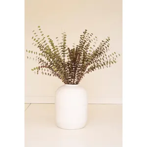 Botanica #850 2