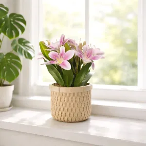 Spring Garden Pot 10in 1