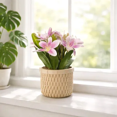 Spring Garden Pot 10in
