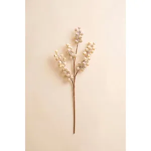 Botanica #9067 3