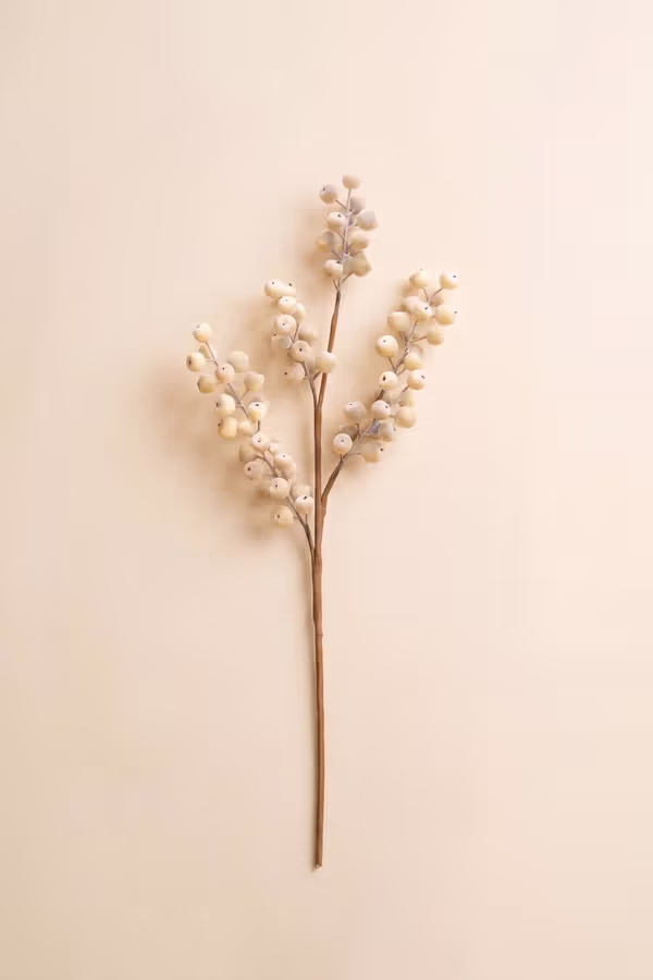 Botanica #9067
