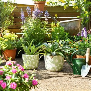 AXELGROVE SET OF 2 GREEN PLANTER 8 (IN) 10