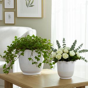 ALECHAVEN SET OF 2 IVORY PLANTER 11 (IN) 2