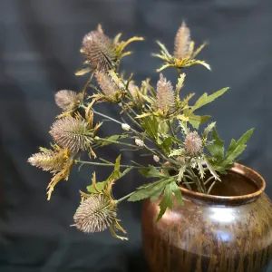 Thistle Stem 1